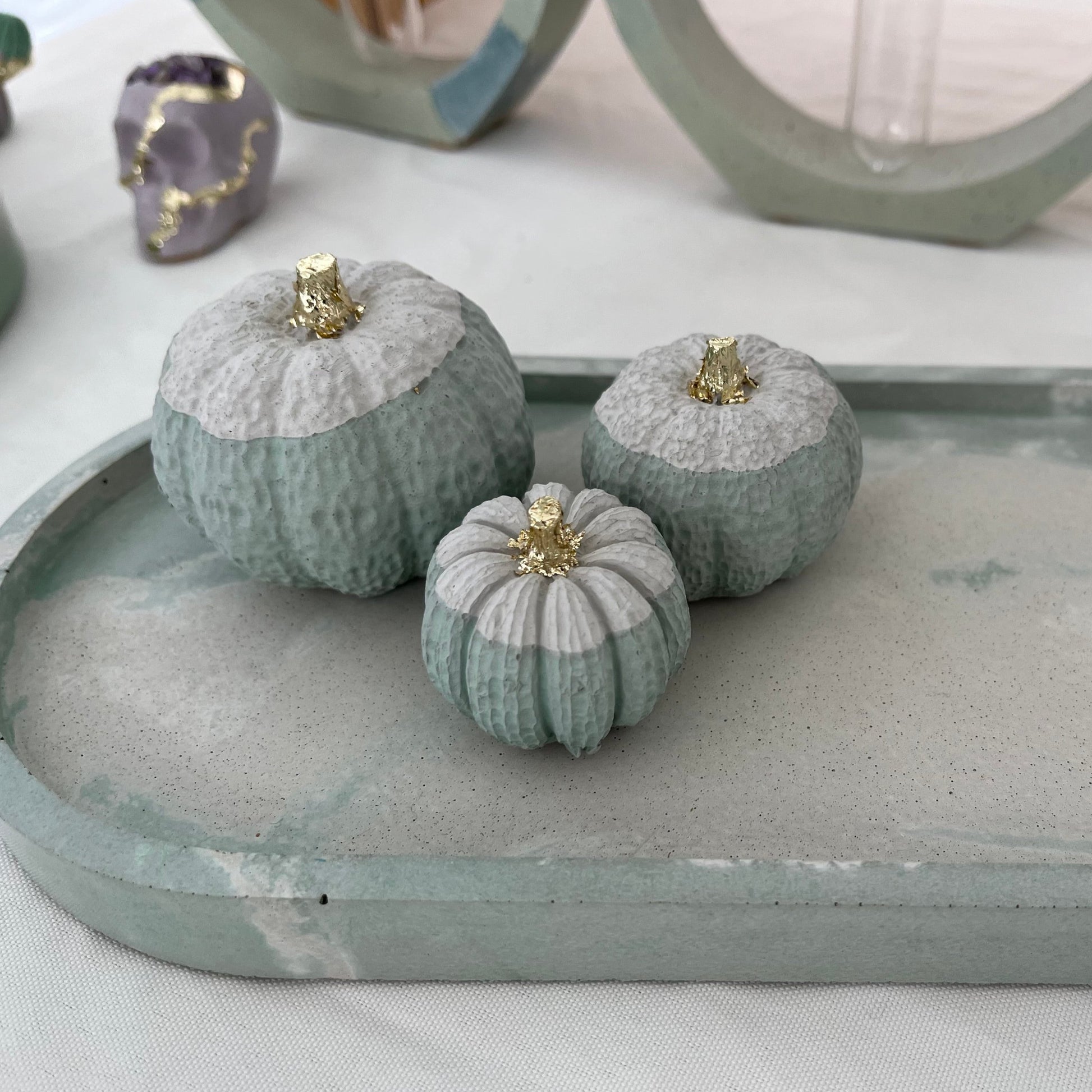 Halloween Set of Pumpkins in Cream and Light Green on Concrete  Tray. 