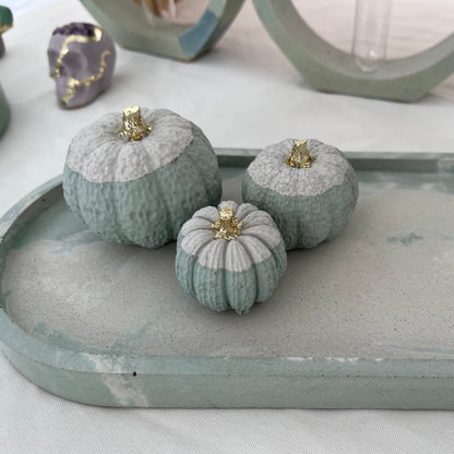 Halloween Set of Pumpkins in Cream and Light Green on Concrete  Tray. 
