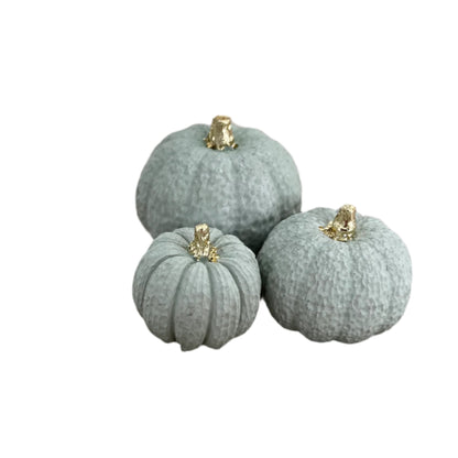 Halloween Set of Concrete Pumpkins in in Light Green.