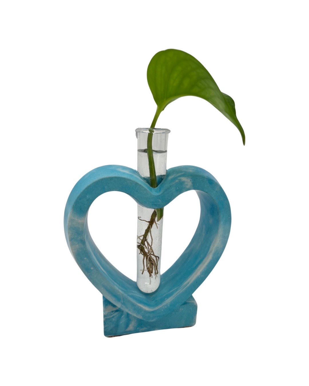 Cement Heart Propagation Station in Bright Blue 