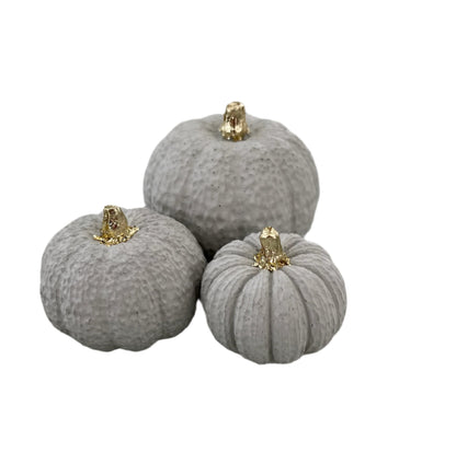 Halloween small set of pumpkins in Cream.