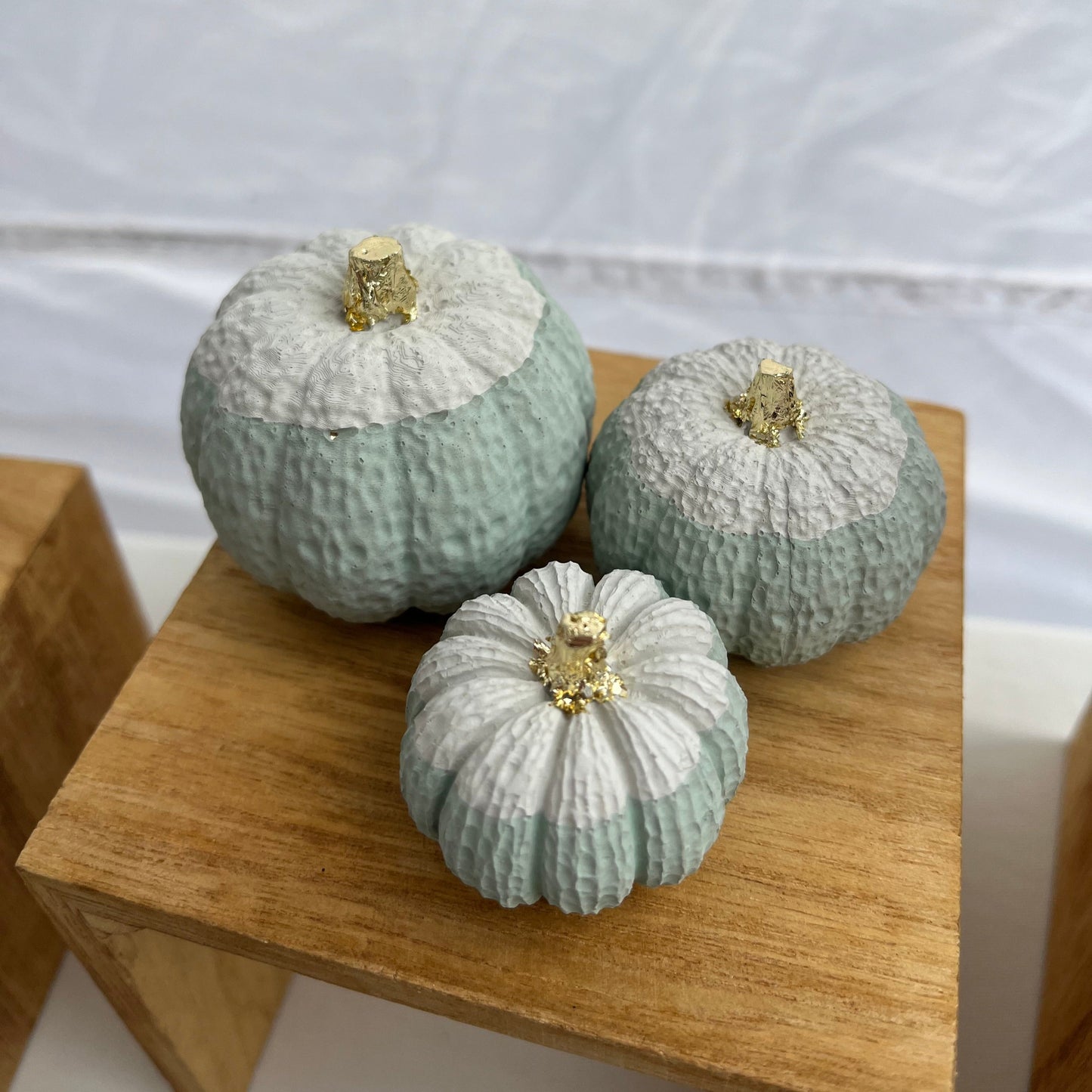 Halloween small set of pumpkins in light green and cream. 