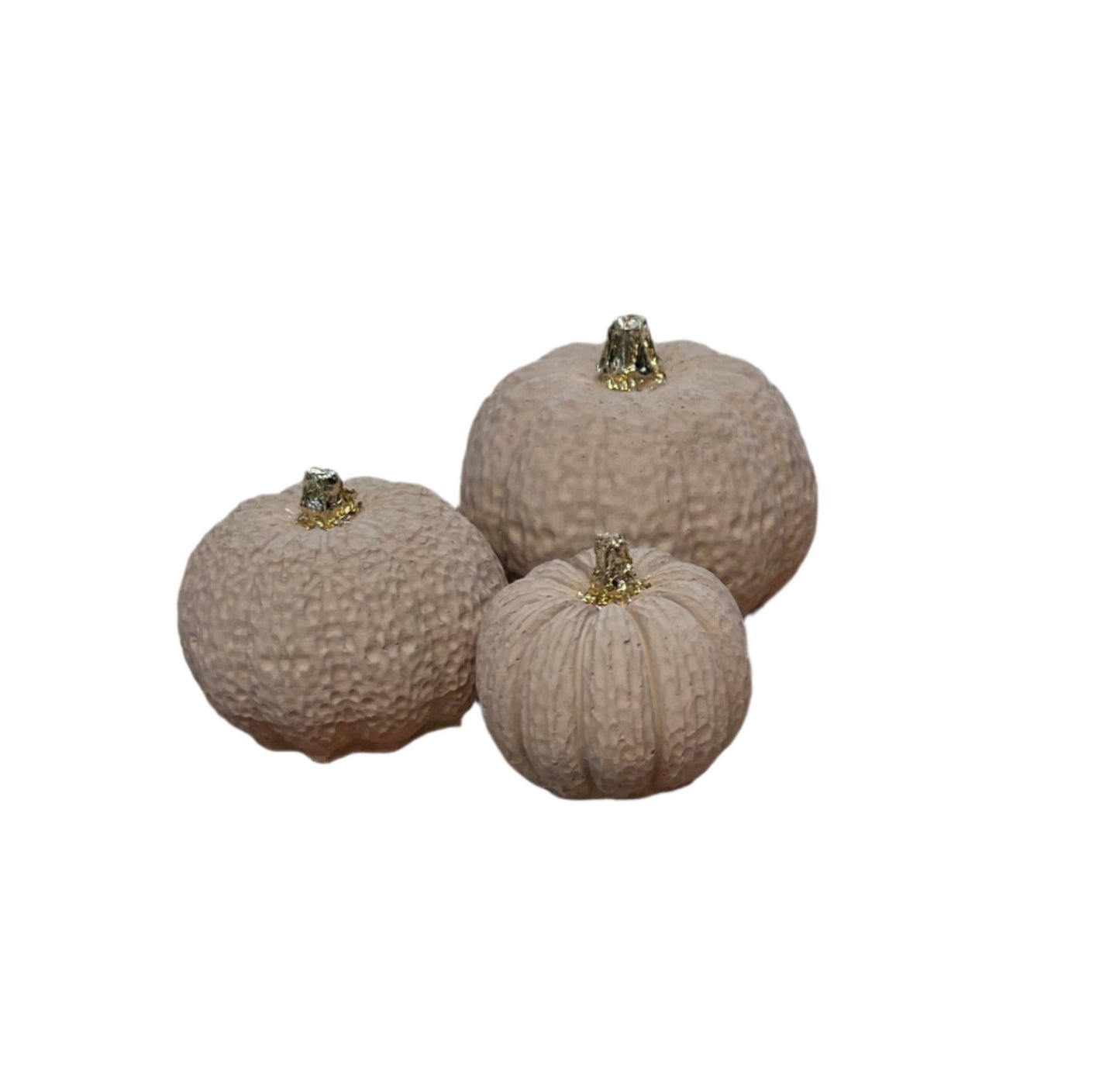 Halloween small set of pumpkins in Tan.